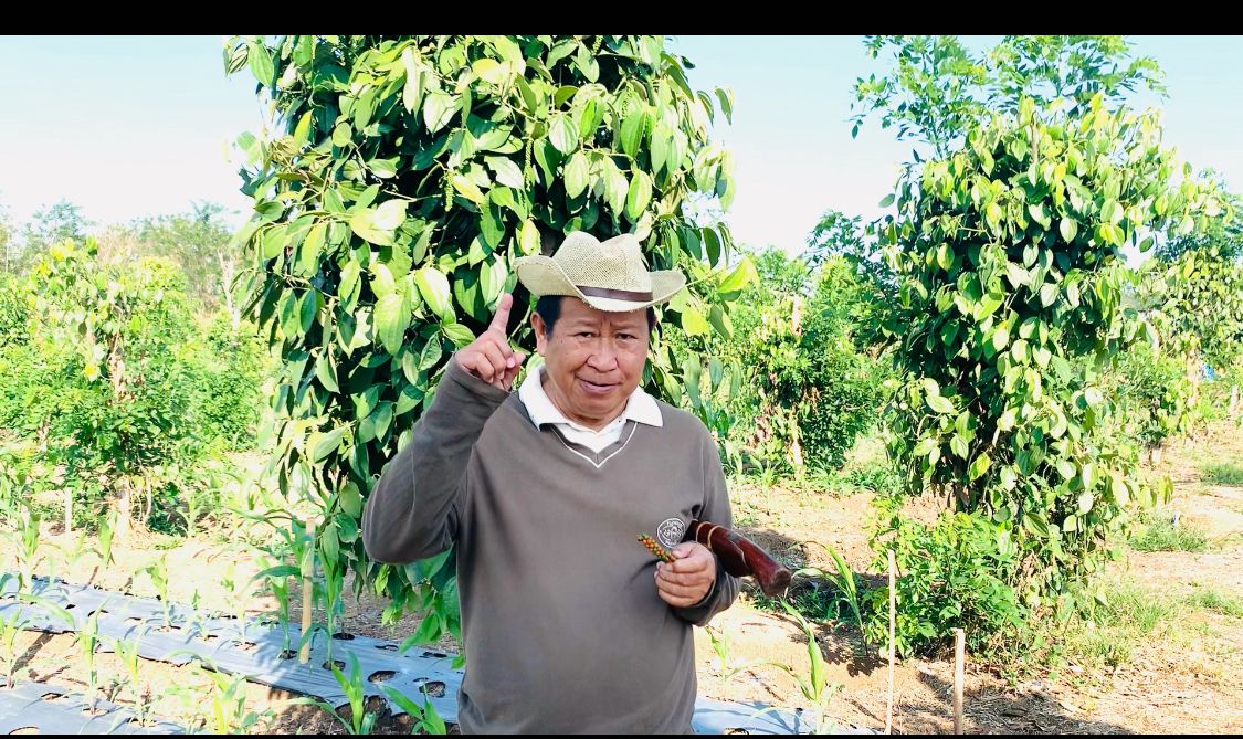 Tokoh Masyarakat Sumsel yang juga mantan Kabareskrim Polri, Komjen Pol (Purn) Drs Susno Duadji SH MH. (Foto-Istimewa)