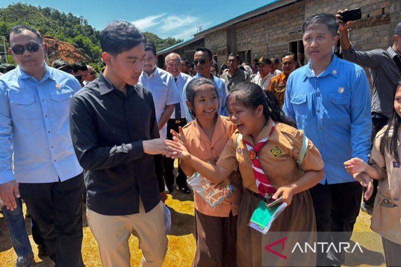 Gibran Dorong Kolaborasi Pusat-Daerah Percepat Pemulihan Sumut